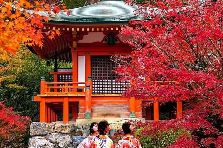 Kyoto, Osaka, Nara Private Tour by Car English Driver Guide — photo 12