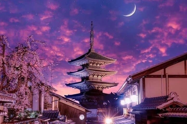 Kyoto, Osaka, Nara Private Tour by Car English Driver Guide — photo 16