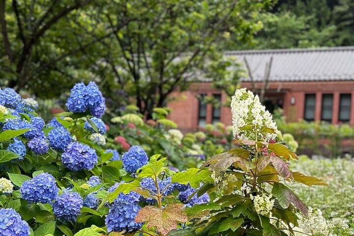 3 Hours Private Historical Walking Tour of Miura Peninsula — photo 6