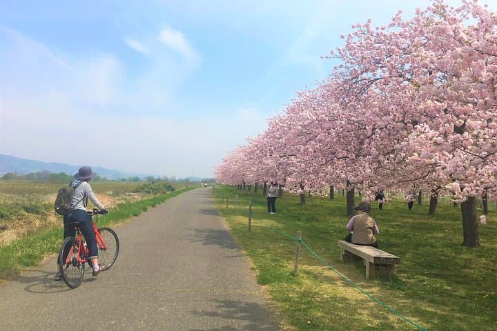 Bike Rentals in Nagano to Explore Snow Monkey Park. — photo 15
