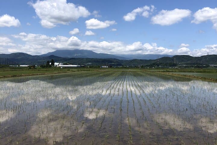 Bike Rentals in Nagano to Explore Snow Monkey Park. — photo 17
