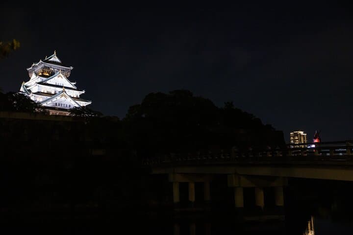 Samurai-specific Osaka Castle Guides Private tours in armor Photo — photo 5
