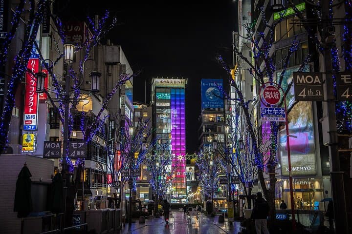 Private Tour in Shinjuku with a Spanish-Speaking Photographer — photo 2