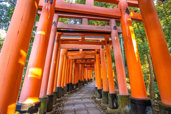 Full Day Guided Tour to Kyoto and Nara from Osaka by Van — photo 2