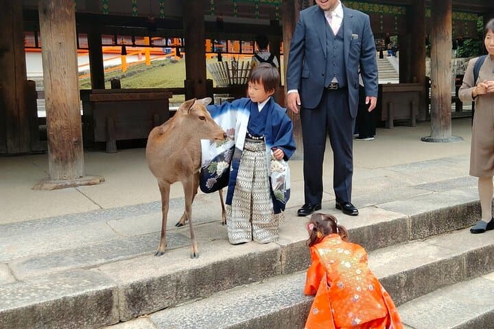 3 Day Japan Highlights Tour: Tokyo, Mt.Fuji, Nara, Kyoto, Osaka — photo 12