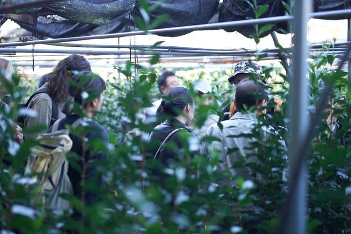 7 Day Craftsmanship of Tea Tour in Kyoto, Uji and Aizu-wakamatsu — photo 7