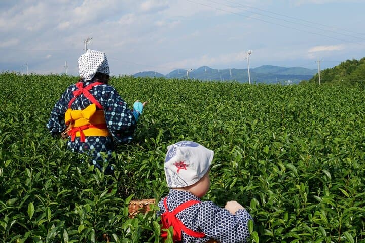 Shizuoka/Shimizu Mt Fuji View 6 hr Private Tour: Guide Only — photo 10