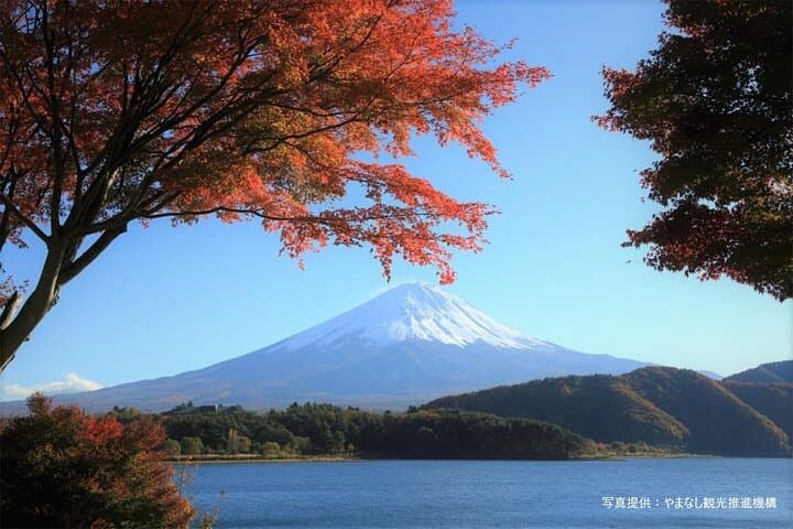 Mt. Fuji, Oishi Park & Arakurayama Pagoda Bus Tour with Lunch — photo 2