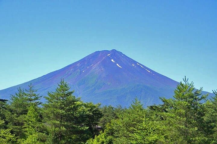 Mt. Fuji, Oishi Park & Arakurayama Pagoda Bus Tour with Lunch — photo 11