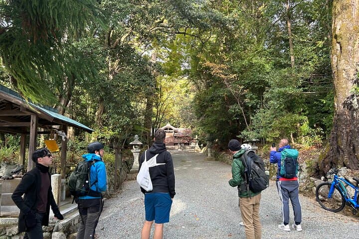Explore Nature in Yoshino with an e-Bike Tour — photo 5