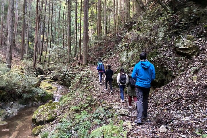 Explore Nature in Yoshino with an e-Bike Tour — photo 3