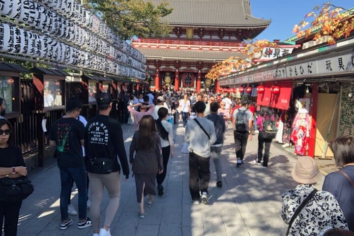 Tokyo Half Walking Day Tour with a Local Expert Guide — photo 2