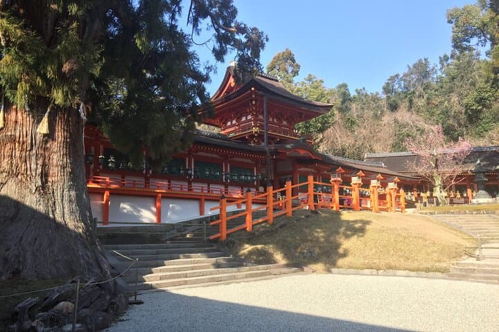 Half-Day Private Guided Tour to Nara City — photo 8