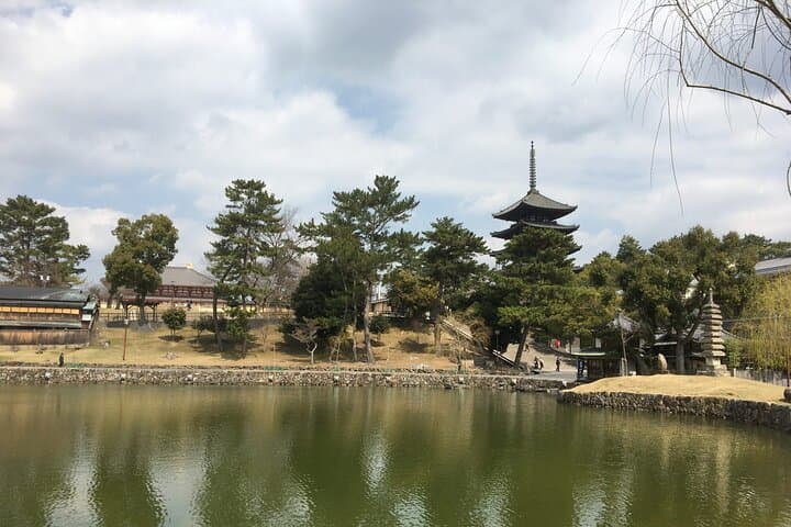 Half-Day Private Guided Tour to Nara City — photo 4