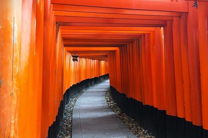 Private Fushimi Red Gates & Secret Bamboo Mountain Trekking Tour — photo 2