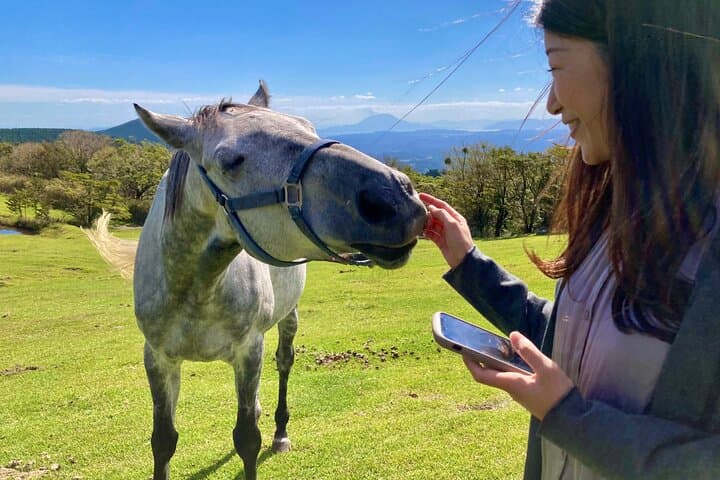 Pasture Hike with Horse Whisperer at Horse Trust in Kagoshima — photo 6