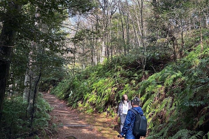 Kumano Kodo Pilgrimage Full-Day Private Trip with Government Licensed Guide — photo 9