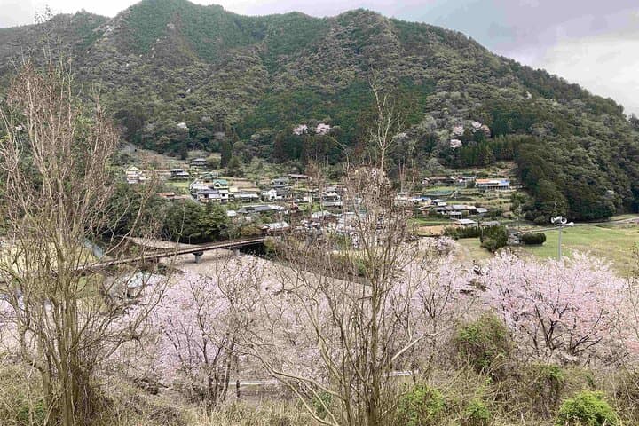 Kumano Kodo Pilgrimage Full-Day Private Trip with Government Licensed Guide — photo 15