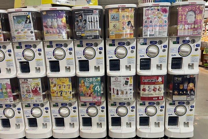 Half Day Hakodate Tour with Government Licensed English guide — photo 12