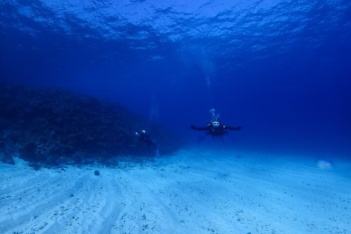 Okinawa: Scuba Diving Tour with Wagyu Lunch and English guide — photo 12