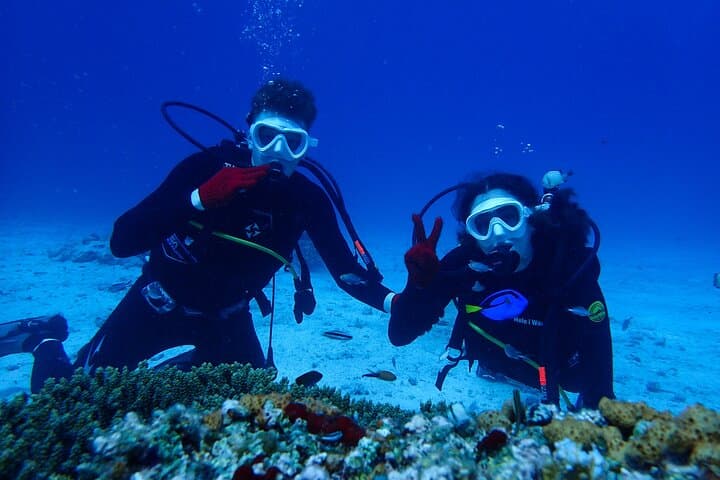Okinawa: Scuba Diving Tour with Wagyu Lunch and English guide — photo 13