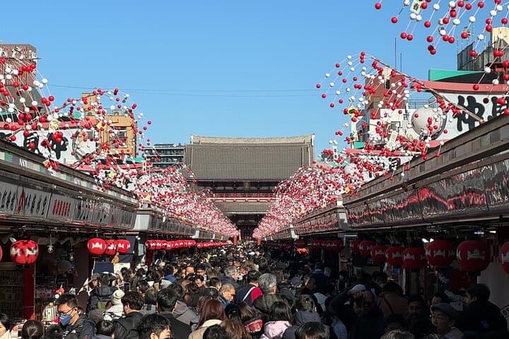Tokyo in 6 Hours: Private Subway Tour with Licensed English Guide — photo 9