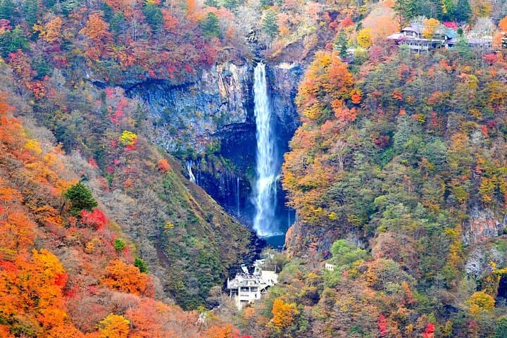 Nikko Tour from Tokyo with Licensed Guide via Private Car — photo 6