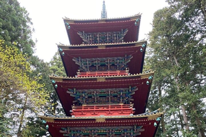 Nikko Tour from Tokyo with Licensed Guide via Private Car — photo 5