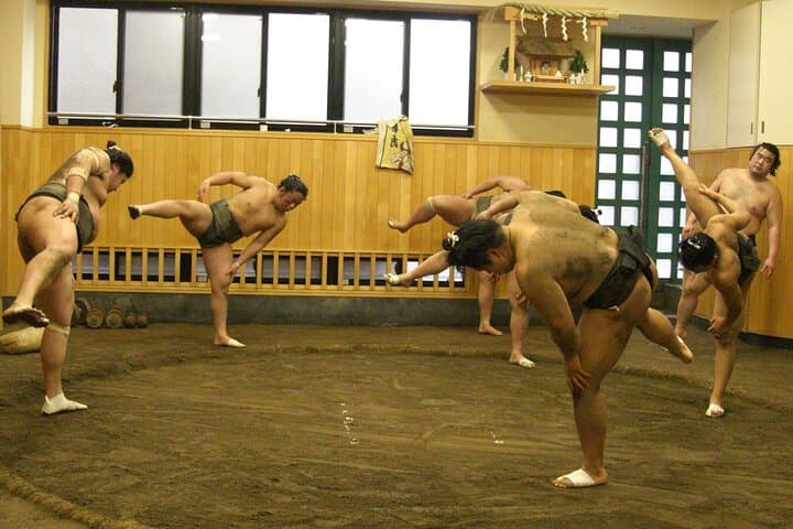 Tokyo Sumo Morning Training — Starting Right From Your Hotel. — photo 9
