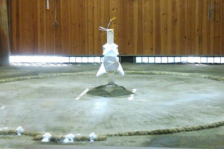 Tokyo Sumo Morning Training — Starting Right From Your Hotel. — photo 12