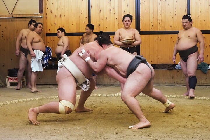 Tokyo Sumo Morning Training — Starting Right From Your Hotel. — photo 2