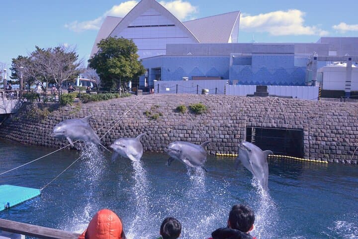 Kagoshima Sightseeing Spots One day Tour by City View Bus — photo 10