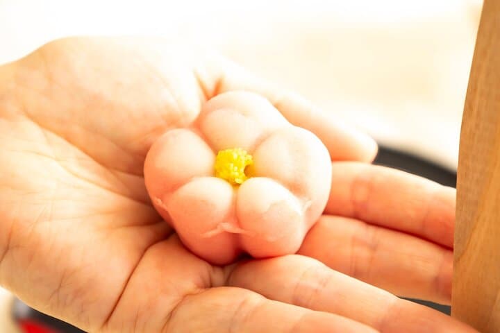 Experience Tsumami Zaiku and Making Wagashi in Tokyo — photo 5