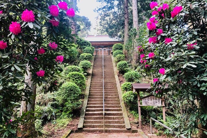Buddha, Bamboo & Zen - Bespoke Kamakura Private Walking Tours — photo 8