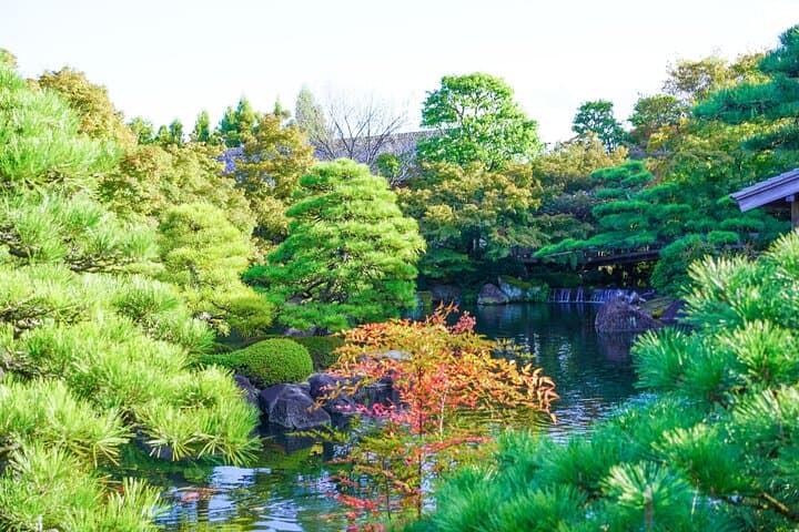 Himeji Castle Easy Bike Tour: Samurai History, Garden & Matcha — photo 6