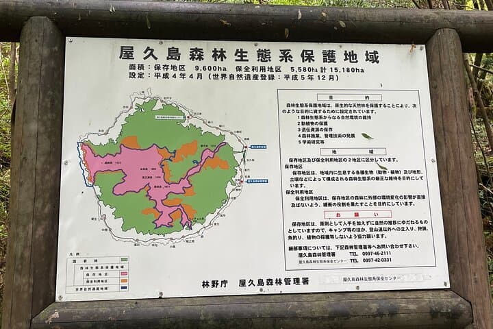 Half Day Walking Tour in Yakusugi Land — photo 5