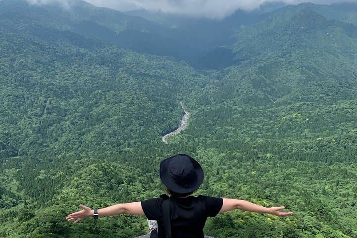 Yakushima 1 day SHIRATANI UNSUIKYO Walking with ENGLISH Speaking Guide — photo 5
