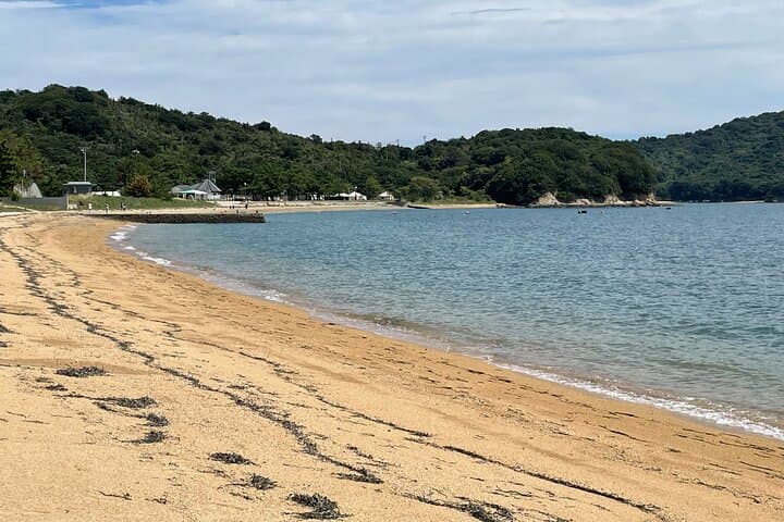 Naoshima Day Tour from Takamatsu Sta. with Cycling or Public Bus — photo 6