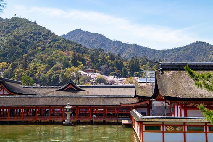 Hiroshima & Miyajima 1 Day Bus Tour with Bullet Train Tickets — photo 11