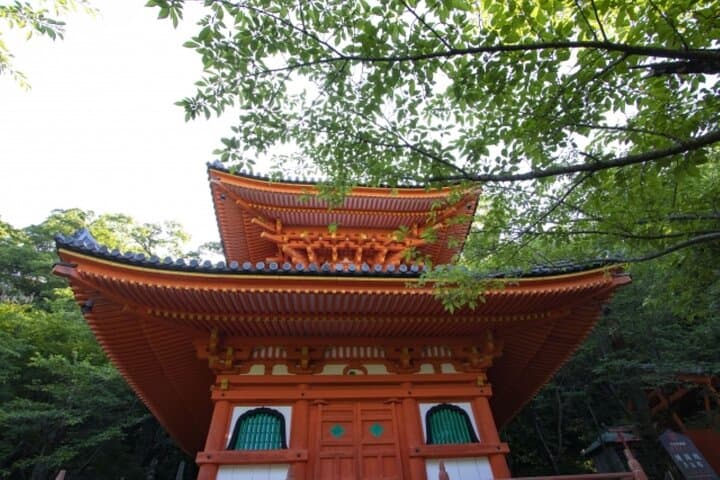 Wakayama Castle and Kuroshio Market 1 Day Tour — photo 6