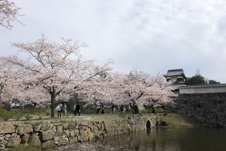 Fukuoka: Hakata Half Day Shared Tour ~Sightseeing with Coffee~ — photo 7