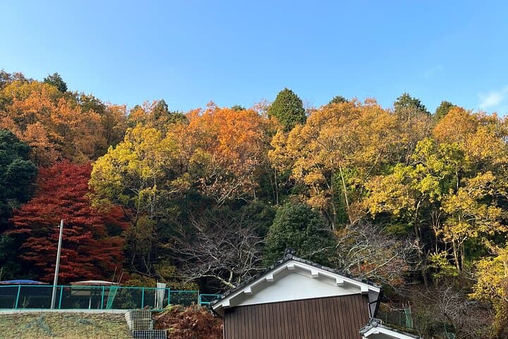 Artist Pottery and Cooking Class in the Old Streets of Mt. Hiei — photo 19