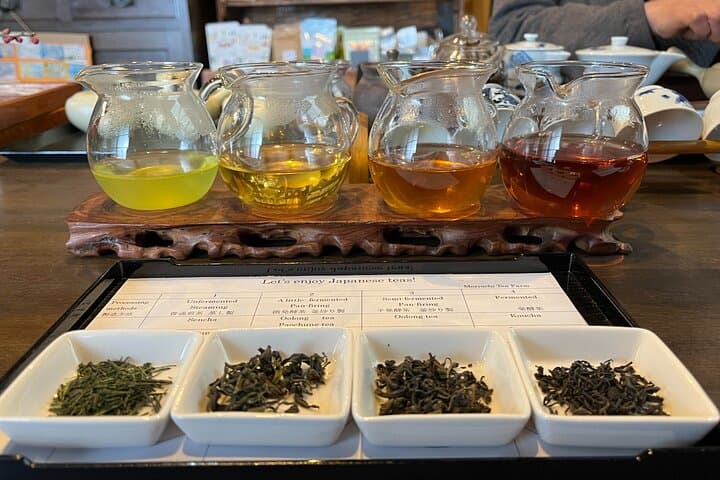 Small Group Japanese Green Tea Tasting in Shizuoka — photo 6