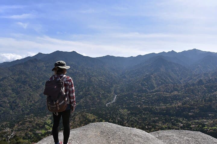 Yakushima 1 day SHIRATANI UNSUIKYO Walking with ENGLISH Speaking Guide — photo 6