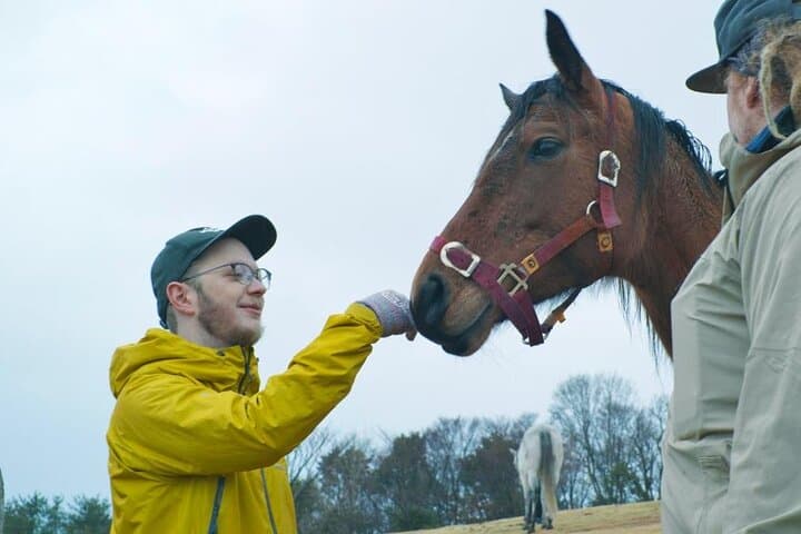 Pasture Hike with Horse Whisperer at Horse Trust in Kagoshima — photo 9