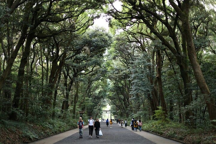 Tokyo Tailored 4 Hours Private Guided Tour — photo 2