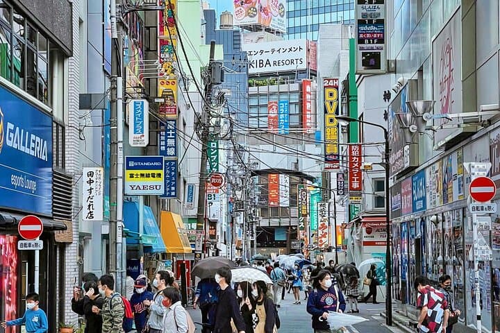 Tokyo Tailored 4 Hours Private Guided Tour — photo 8