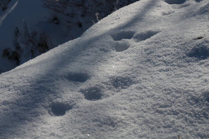 Snowshoeing at Lake Mashu Outer Rim of the Caldera — photo 2