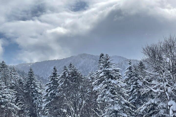 Snowshoeing and Onsen Adventures in a Winter Wonderland -Sapporo. — photo 5