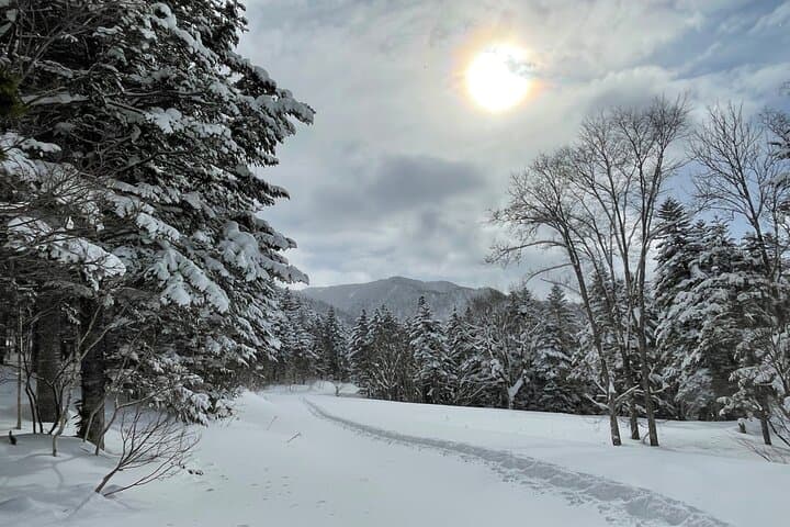 Snowshoeing and Onsen Adventures in a Winter Wonderland -Sapporo. — photo 6